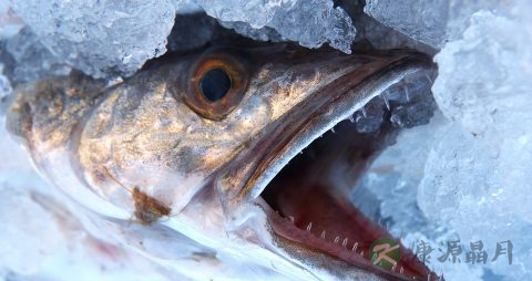 秋刀鱼怎么腌制 秋刀鱼怎么腌制