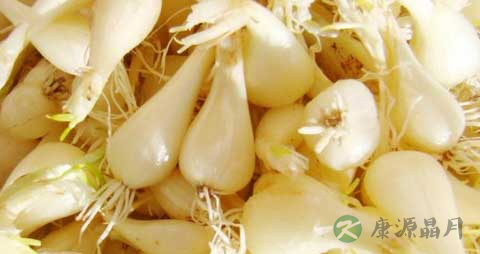 藠头的营养价值_吃藠头的好处