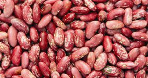 花豆的营养价值_吃花豆的好处