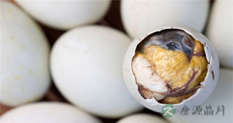 毛蛋的吃法_哪些人不能吃毛蛋