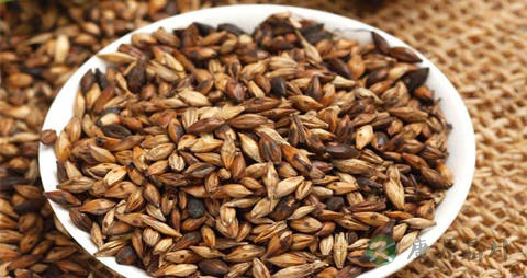 大麦茶的营养价值_吃大麦茶的好处