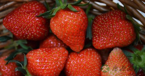 白酒喝多了怎么解酒