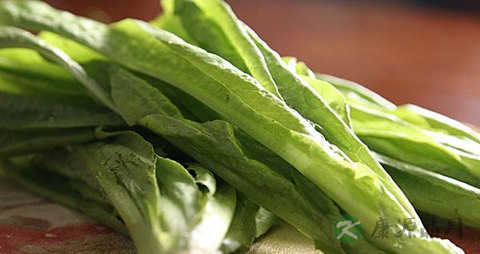 油麦菜的吃法_哪些人不能吃油麦菜