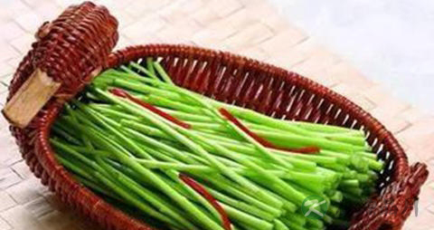 蒌蒿的吃法_哪些人不能吃蒌蒿 蒌蒿的吃法_哪些人不能吃蒌蒿