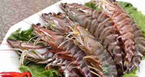 大海虾的营养价值_吃大海虾的好处