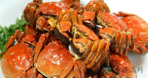 新鲜螃蟹怎么存放 新鲜螃蟹怎么存放