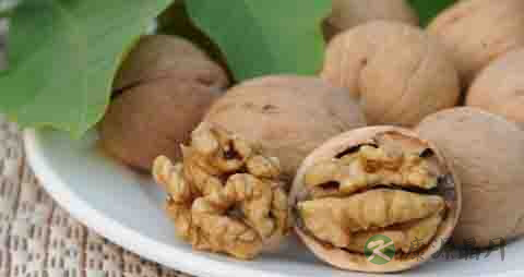 毛核桃的营养价值_吃毛核桃的好处