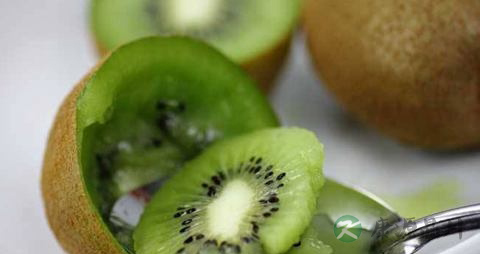 猕猴桃和奇异果有什么区别