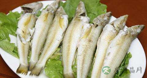 梭子鱼的营养价值_吃梭子鱼的好处