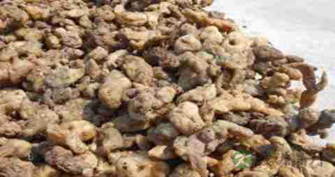 黄精的营养价值_吃黄精的好处