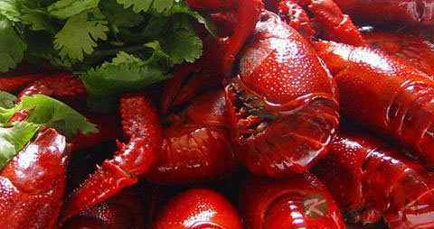 哪里的小龙虾最好吃