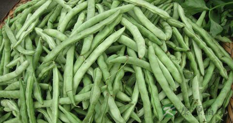 四季豆焯水后再做菜会中毒吗