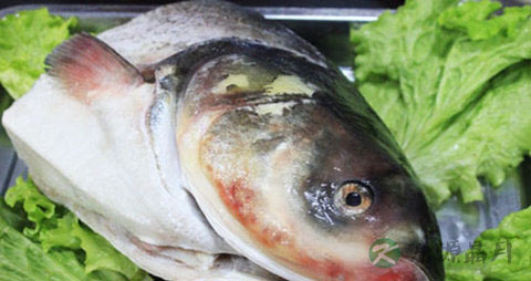 鳙鱼的吃法_哪些人不能吃鳙鱼