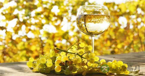 白葡萄酒的吃法_哪些人不能吃白葡萄酒 白葡萄酒的吃法_哪些人不能吃白葡萄酒