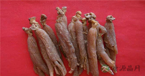 红参的吃法_哪些人不能吃红参