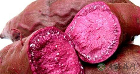 紫薯怎么保存 紫薯怎么保存