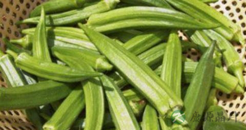 秋葵能生吃吗 秋葵能生吃吗