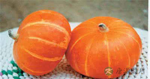 窝瓜和南瓜的区别