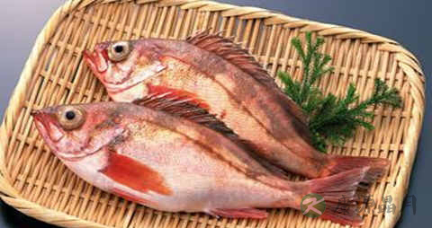 铜盆鱼的吃法_哪些人不能吃铜盆鱼