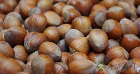 榛子怎么去壳