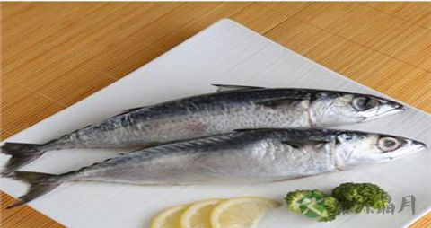 青砖鱼的吃法_哪些人不能吃青砖鱼