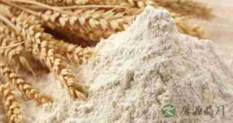 面粉的营养价值_吃面粉的好处