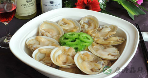 海蚌的吃法_哪些人不能吃海蚌