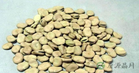 蚕豆的营养价值_吃蚕豆的好处
