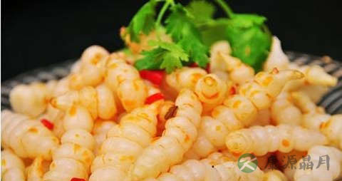 草石蚕的营养价值_吃草石蚕的好处 草石蚕的营养价值_吃草石蚕的好处