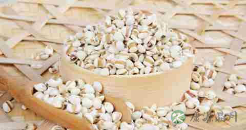 薏米怎么快速煮烂