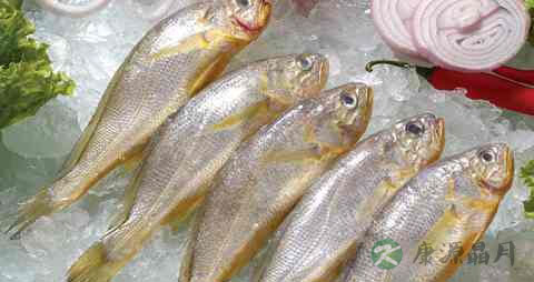 小黄花鱼的营养价值_吃小黄花鱼的好处