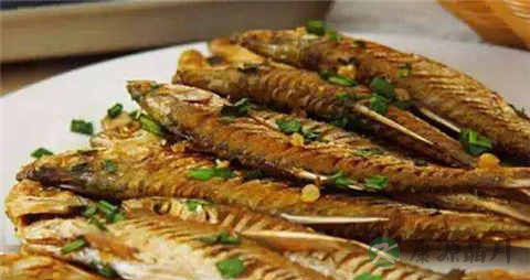 河刀鱼的吃法_哪些人不能吃河刀鱼