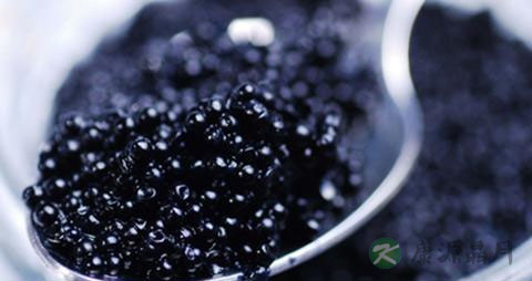 鱼子酱的吃法_哪些人不能吃鱼子酱