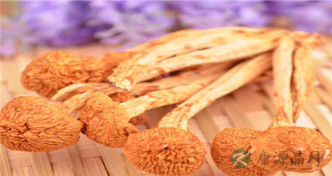 滑子菇的营养价值_吃滑子菇的好处