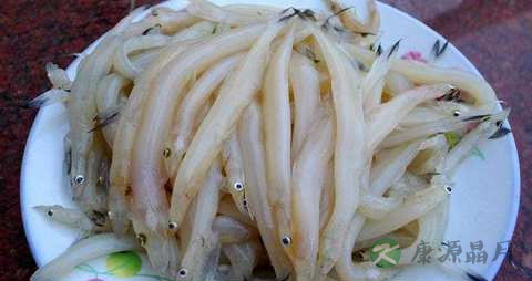 面条鱼的吃法_哪些人不能吃面条鱼 面条鱼的吃法_哪些人不能吃面条鱼