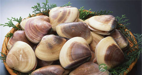 西施舌的吃法_哪些人不能吃西施舌