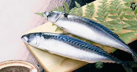 鲐鱼的吃法_哪些人不能吃鲐鱼