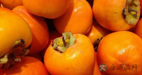 柿子属于寒性食物吗