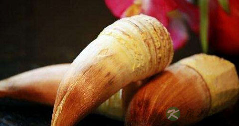 毛竹笋的营养价值_吃毛竹笋的好处