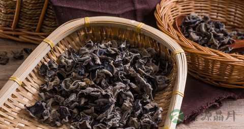 木耳长白毛还能吃吗 木耳长白毛还能吃吗