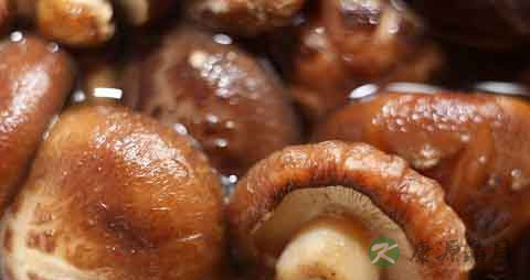 冬菇的营养价值_吃冬菇的好处 冬菇的营养价值_吃冬菇的好处