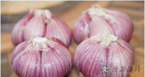 紫皮大蒜的营养价值_吃紫皮大蒜的好处