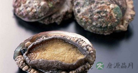 杂色鲍的营养价值_吃杂色鲍的好处 杂色鲍的营养价值_吃杂色鲍的好处