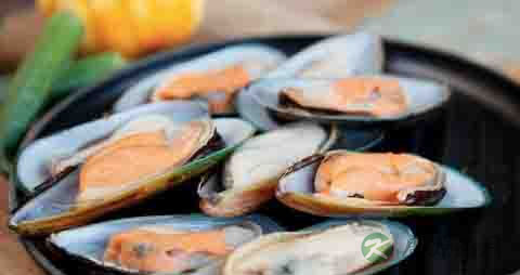 青口贝的营养价值_吃青口贝的好处