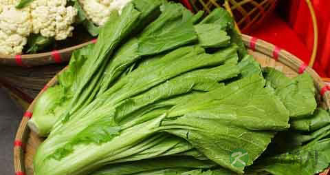 小叶芥菜的营养价值_吃小叶芥菜的好处
