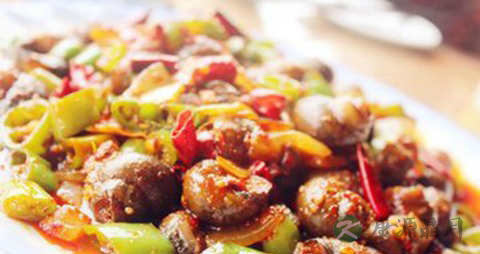 香海螺的吃法_哪些人不能吃香海螺