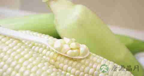 白玉米和黄玉米的区别
