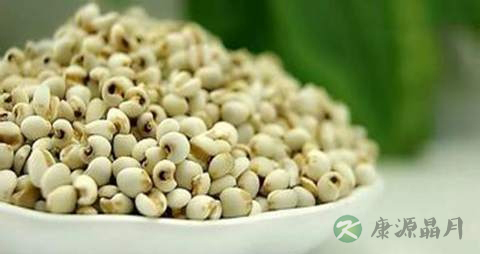 苡米的营养价值_吃苡米的好处