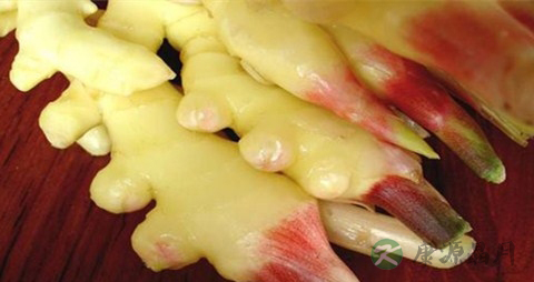 嫩姜怎么腌制好吃 嫩姜怎么腌制好吃