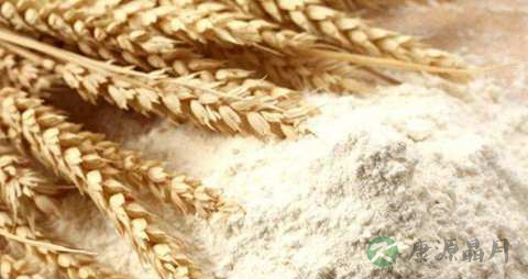 全麦粉的营养价值_吃全麦粉的好处 全麦粉的营养价值_吃全麦粉的好处